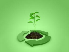 2018年中國生物質能源行業現狀分析 分布式熱電聯產將成為主要支持的發展方向