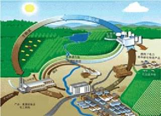 到2022年，陽信縣取暖基本不用煤！用生物質能！