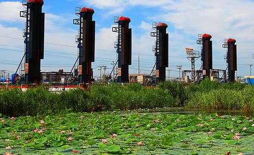 DEDP計劃在2018年安裝太陽能干燥系統