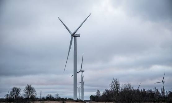 強風使愛沙尼亞風電場滿負荷運轉(zhuǎn)，電力市場價格也受影響