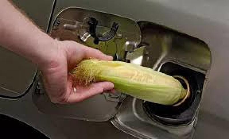 中國海油首家車用乙醇汽油配送中心開建