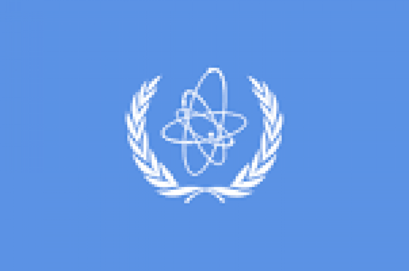 國際原子能機構評估沙特阿拉伯核能基礎設施發展