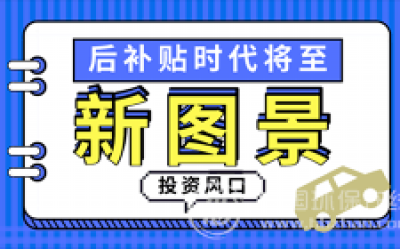 新能源汽車冰火交替 行業(yè)巨變之際亟待“鯰魚”入水 