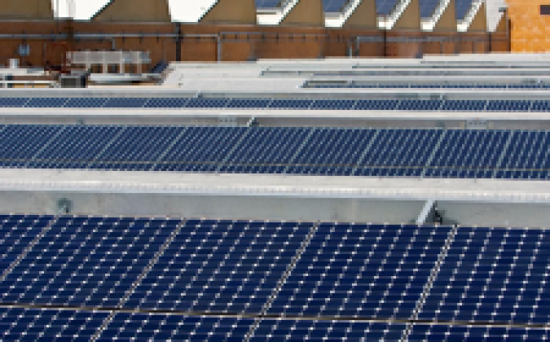 中國的太陽能補貼削減了特朗普關稅的影響