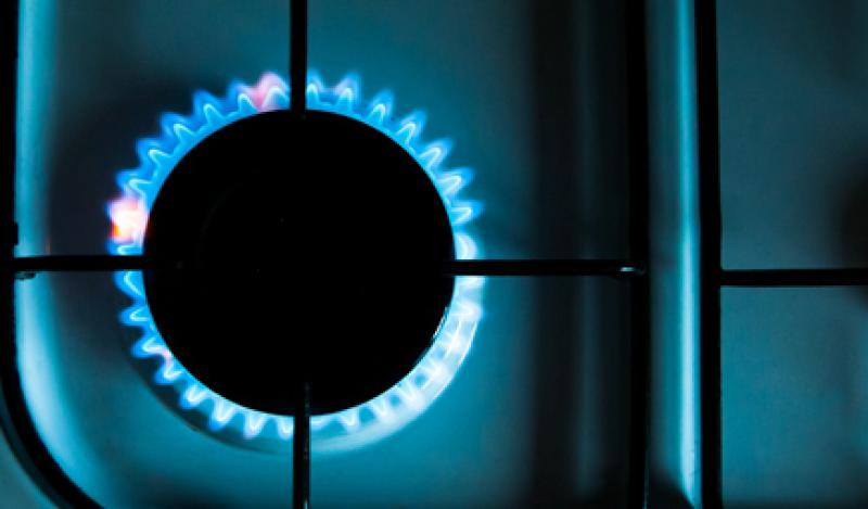 多政策生物天然氣產(chǎn)業(yè)化 整個市場規(guī)模將達萬億元