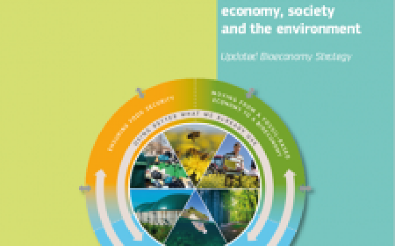 歐洲生物經(jīng)濟(jì)與細(xì)微差別打開(kāi)了生物能源的差距