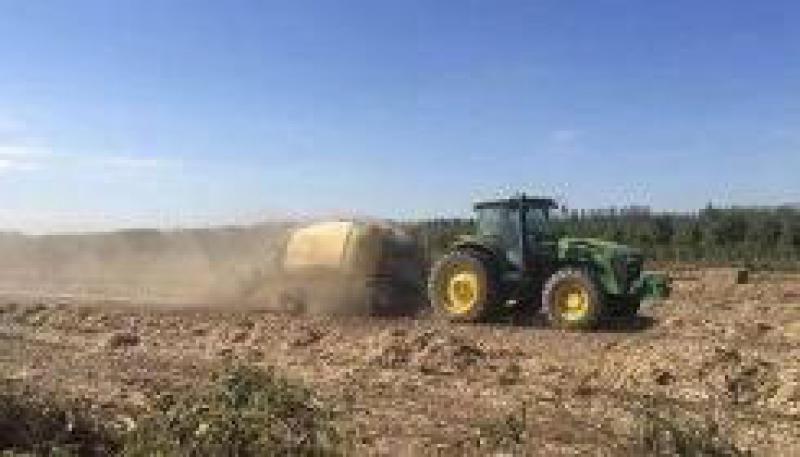 秸稈綜合利用將由試點(diǎn)將向全國全面鋪開