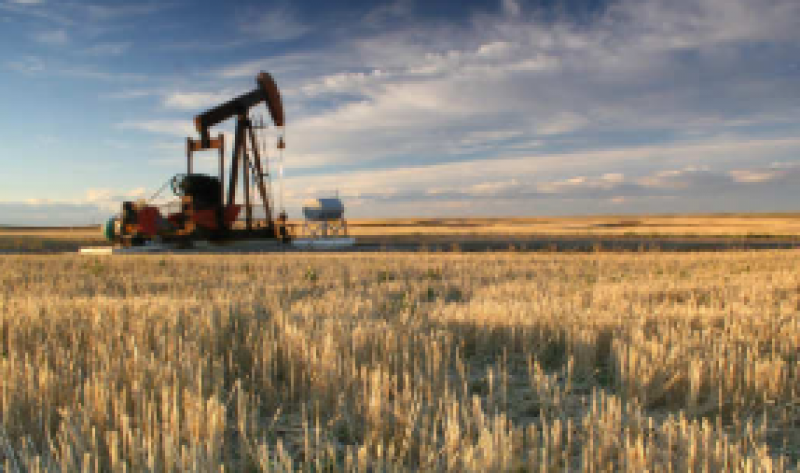 印度原油產(chǎn)量下降4.19％，推動(dòng)9月份進(jìn)口依賴(lài)度達(dá)到83.7％